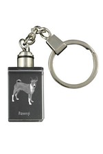 Basenji, Terrier Du Congo -