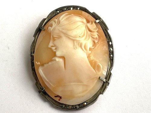 Ancien broche camée coquille - ancien,