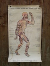 ANCIENNE AFFICHE -PLANCHES