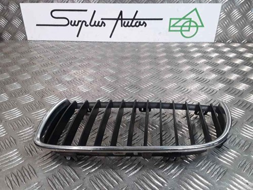 Grille calandre laterale avant