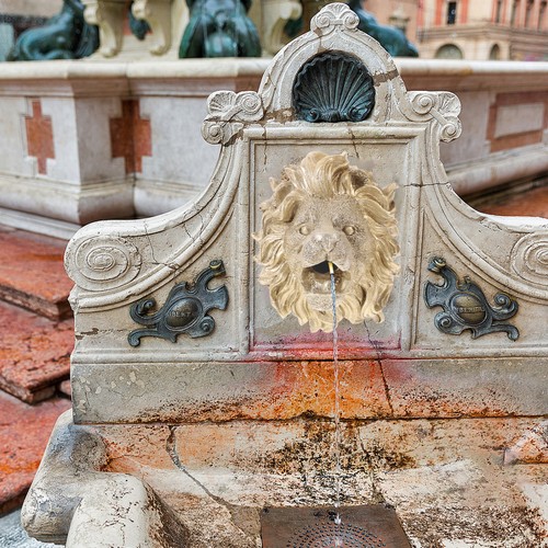 Fontaine eau lion jardin - À,