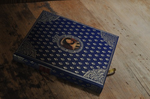 Beau livre sur francois - beau,