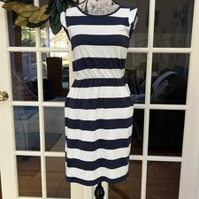 Navy and White Striped