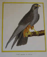 Variété singulière du