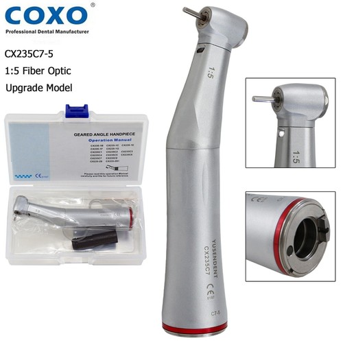 Coxo dentaire increase - coxo,