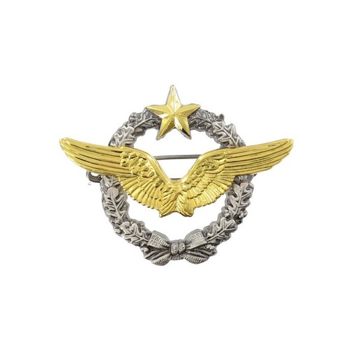 Insigne brevet pilote avion - insigne,