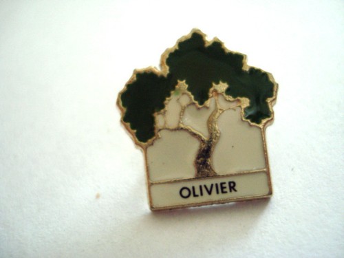 Pins arbre olivier fondation - pins,