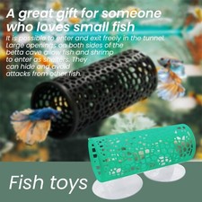 Betta Fish Tunnel Aquarium