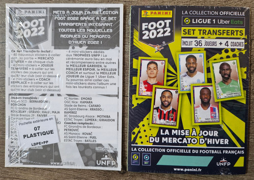 Panini foot 2022 france - foot,