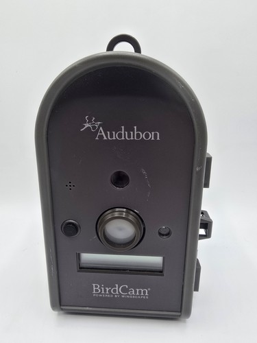 Audubon bird cam motion - audubon,