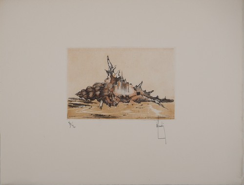 Bernard louedin coquillage - :,