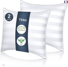 TESQ Oreiller 65x65 cm Lot de 2 Oreillers Confort Moelleux, Qualité Hôtelière de