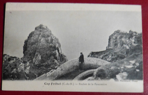 Dpt cap frehel - cap,