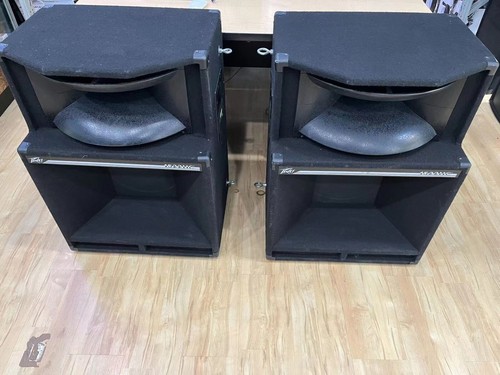 Pair peavey model - of, 15''
