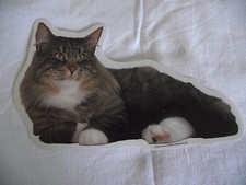 GRAND AUTOCOLLANT  - motif  chat   NORVEGIEN