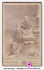 GROS CHIEN COUCHÉ EN POSE