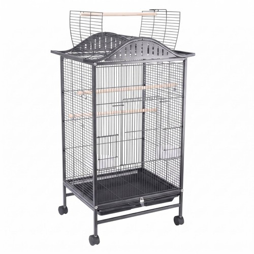 Enclos oiseaux sur - oiseaux,