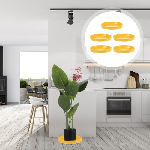 Plateaux plante pot de - pot,