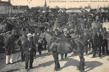 BAUGY : le champ de foire - examen d'un cheval - très bon état