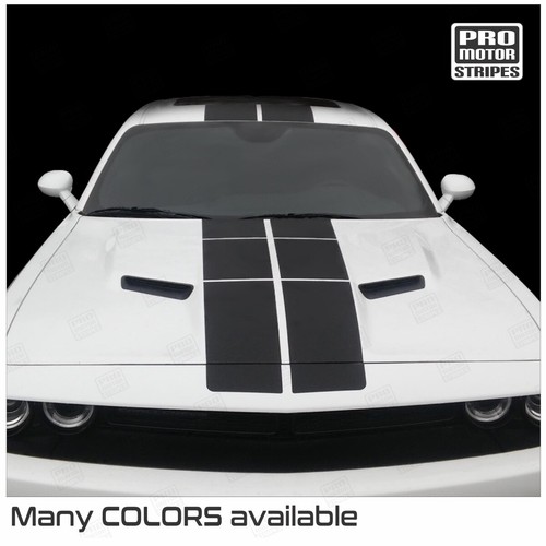 Dodge challenger 2008 2023 - dodge,