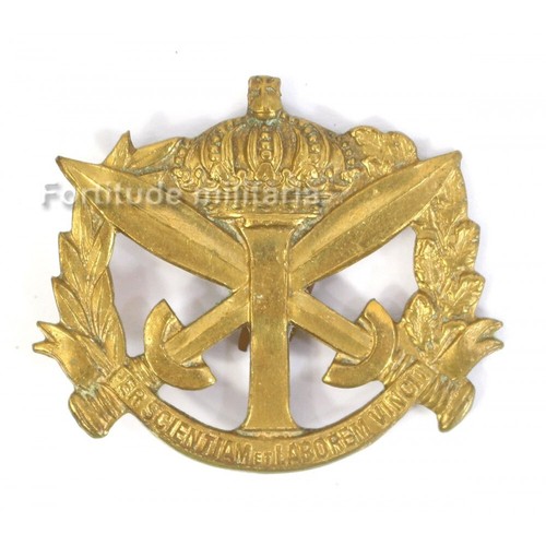 Insigne belge coiffure - belge,