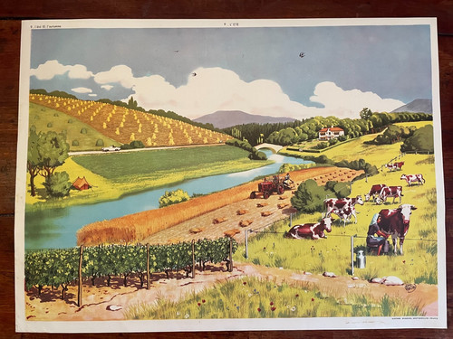 Ancienne affiche scolaire - ancienne,