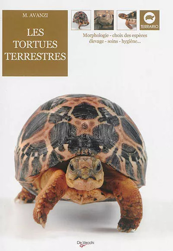 Les tortues terrestres marta - les,