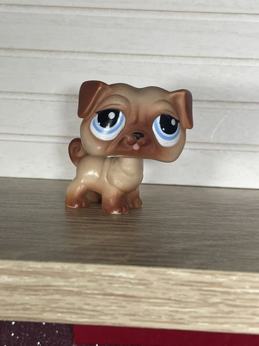 Petshop chien carlin - 🌺petshop,