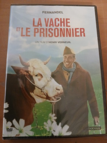 Vache prisonnier - vache,
