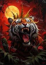 Photo A4 – Tigre Rugissant