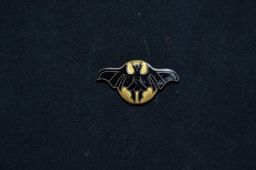 Aviation badge night fighter - aviation,