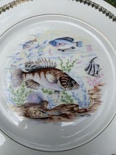Assiettes En  Porcelaine De