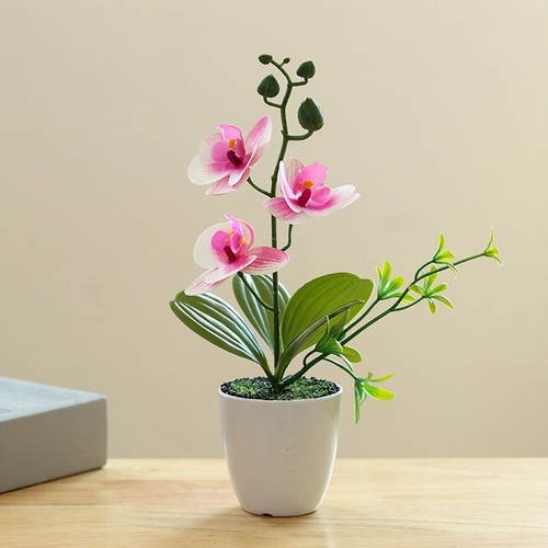 Plante orchidée artificielle - orchidée,