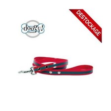 Laisse plein air et chasse