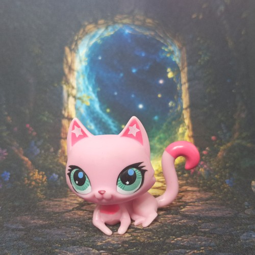 Chat sphynx 2851 - chat, littlest