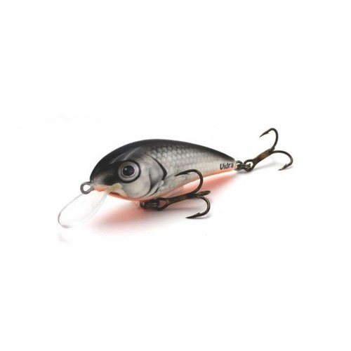 Leurre pêche rapala - de,