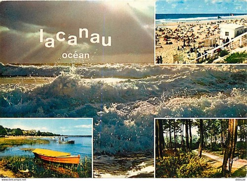 Carte postale lacanau - carte,