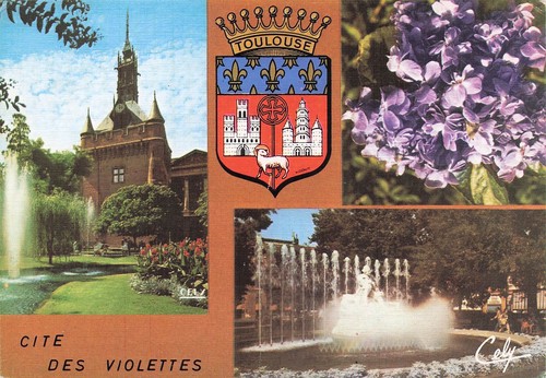 Toulouse cite des violettes - 31,