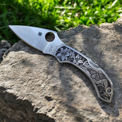 Spyderco dragonfly with - spyderco,