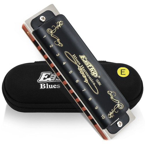 Harmonica diatonique 10 - harmonica, e