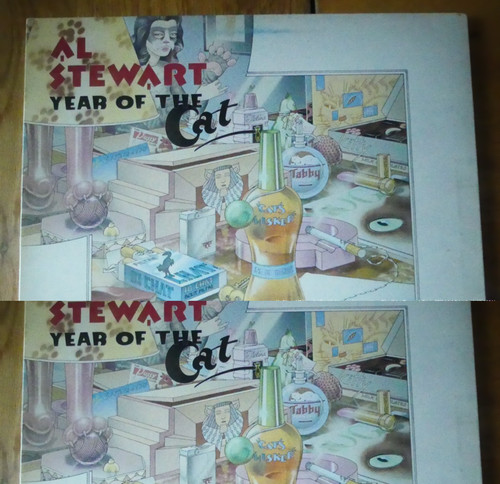 Stewart year the cat - year,