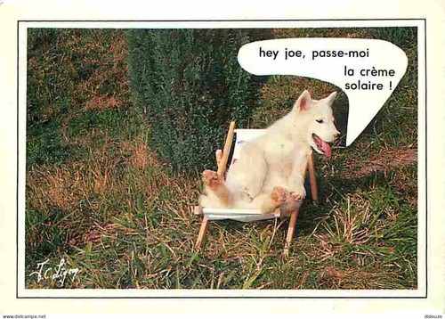 Carte postale animaux - -,