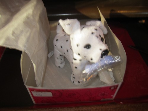 American girl dalmation puppy - girl,
