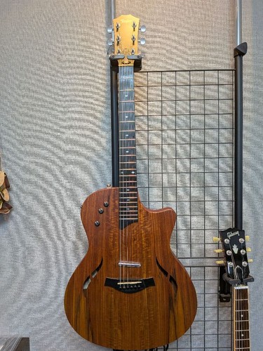 Taylor classic hollow - taylor,