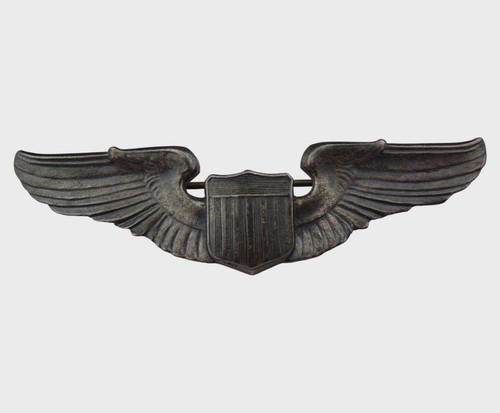 Brevet pilote pilot - brevet,