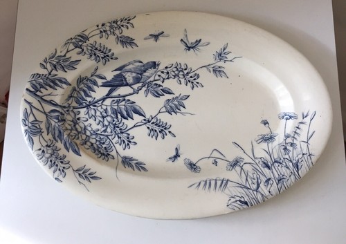 Plat service terre - plat, de