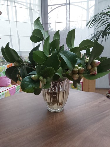 Val saint lambert vase - val,