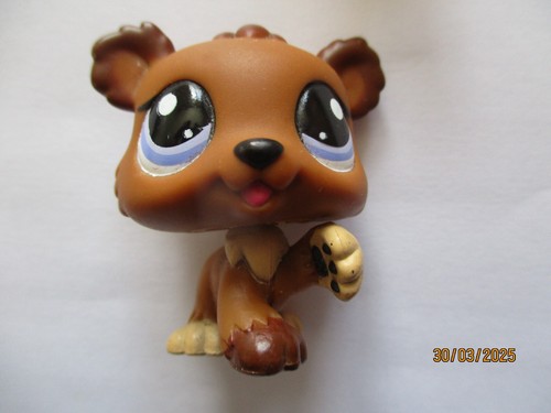 Petshop bebe ours 1556 - bebe, n°1556