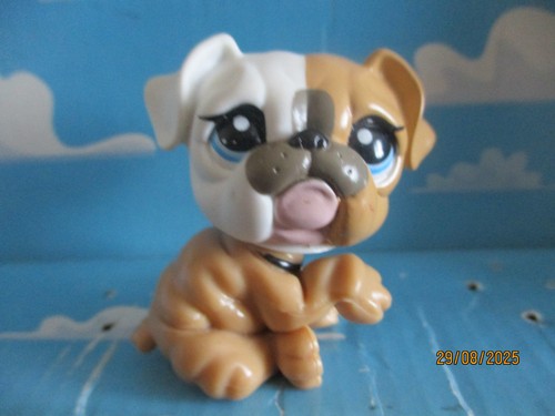 Petshop maman chien - maman, bouledogue