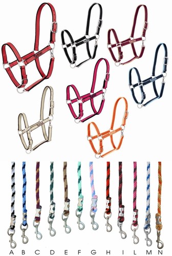 Licou tattini bicolore - licou, avec